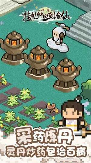 代号挂机种田到金仙 代号挂机种田到金仙