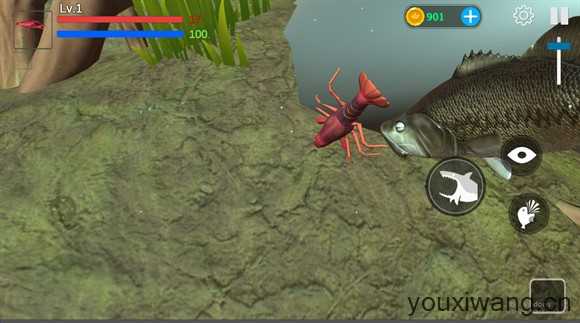 海底大猎杀 海底大猎杀