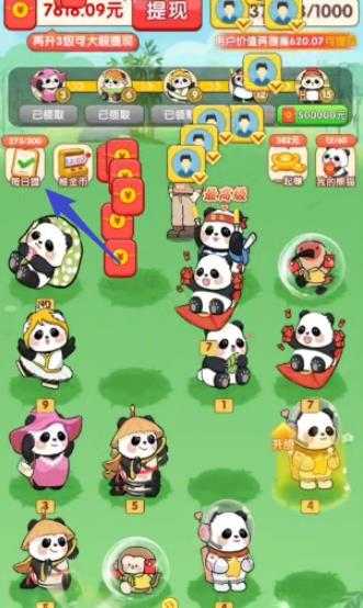 合合熊猫 合合熊猫