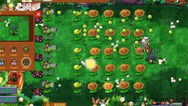 PVZ共生版 PVZ共生版