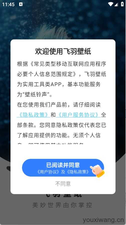 飞羽壁纸 飞羽壁纸