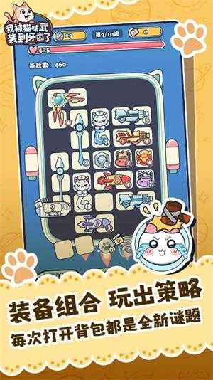 我被猫咪武装到牙齿了 我被猫咪武装到牙齿了