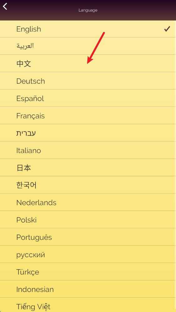 网络天才 网络天才