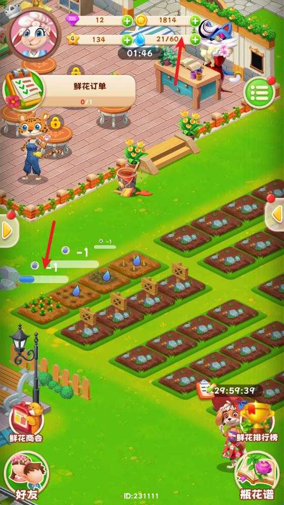 动物花店 动物花店