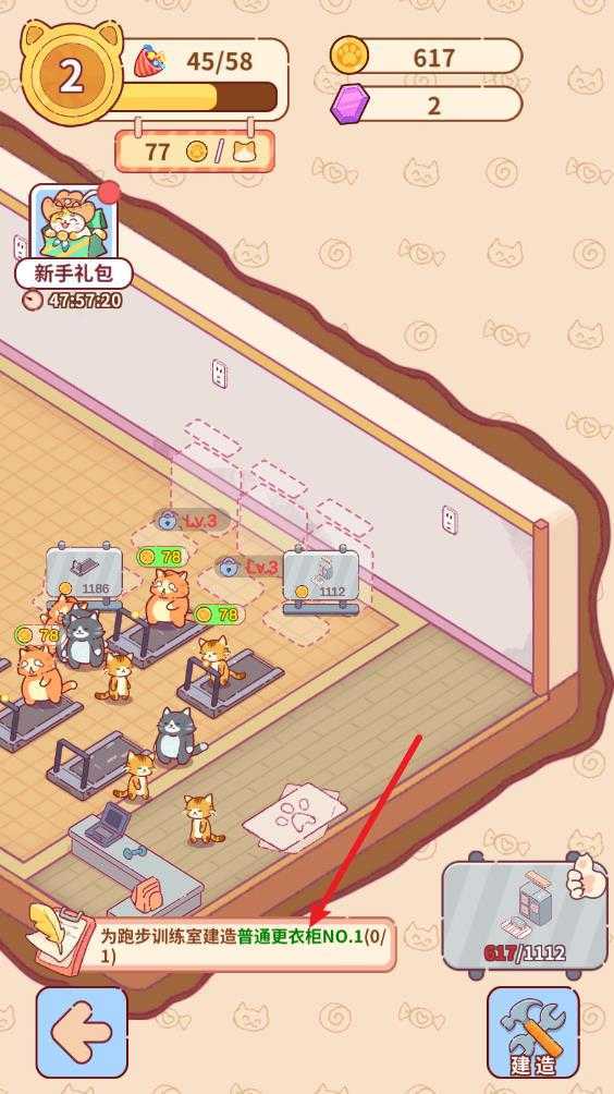 猫咪健身房 猫咪健身房