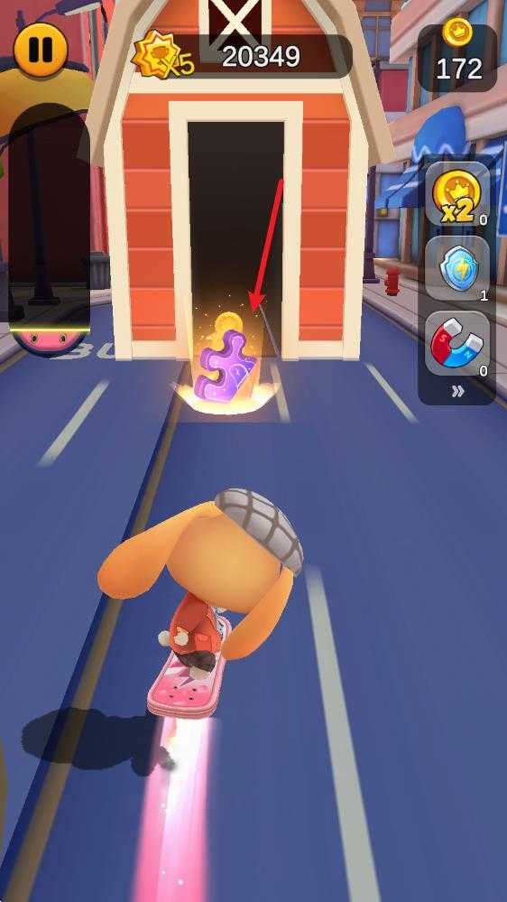 奔跑的宠物猫 奔跑的宠物猫