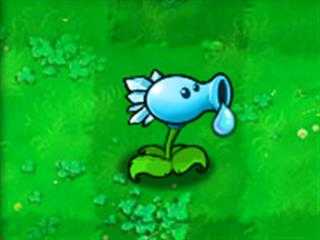 植物大战僵尸威化版 植物大战僵尸威化版