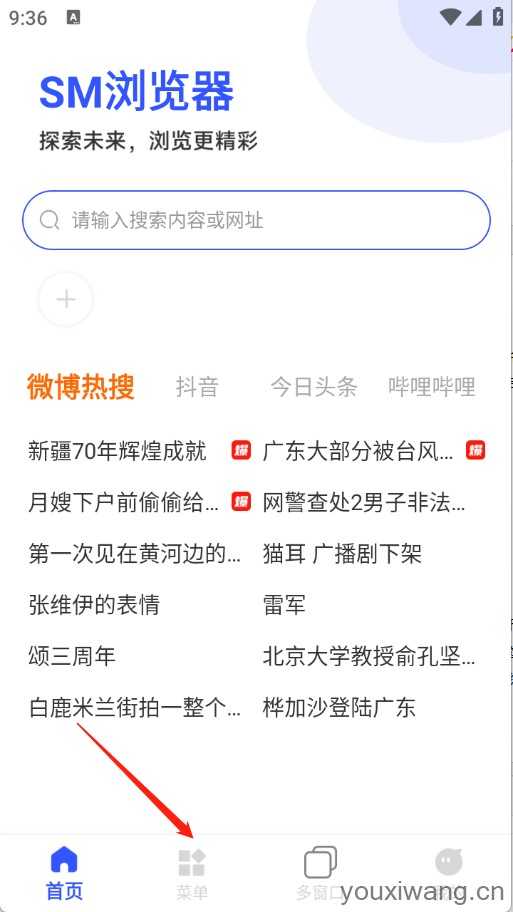 SM浏览器 SM浏览器