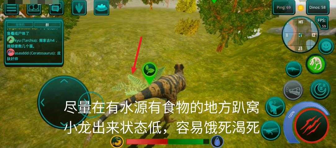 诅咒之岛国际服 诅咒之岛国际服