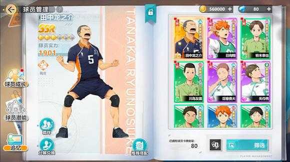 排球少年新的征程 排球少年新的征程