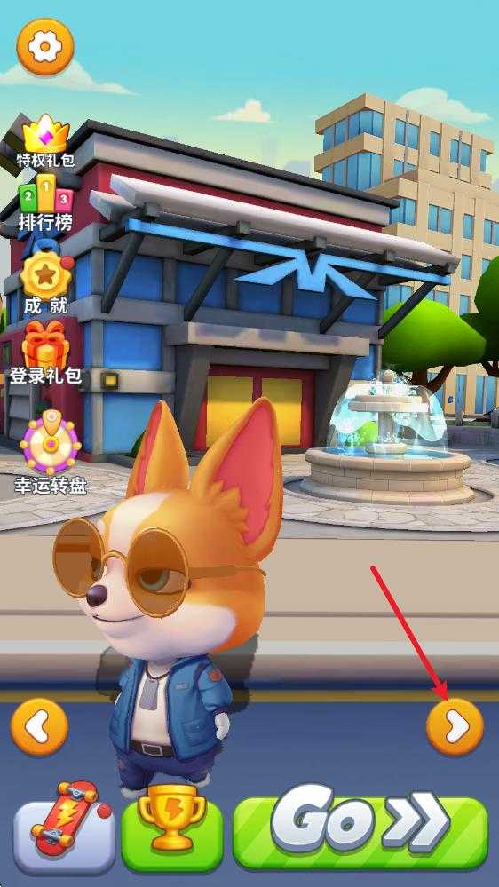 奔跑的宠物猫 奔跑的宠物猫