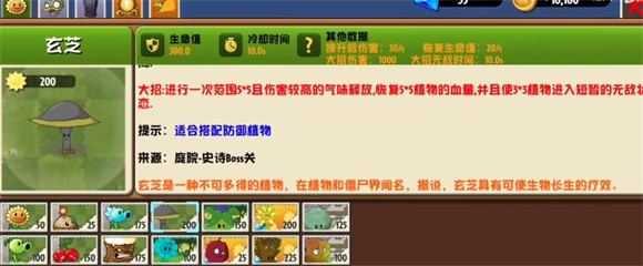 植物大战僵尸异域探险 植物大战僵尸异域探险