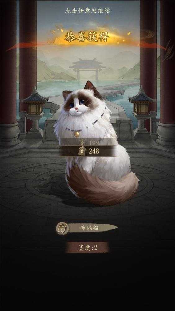 大当家之路 大当家之路