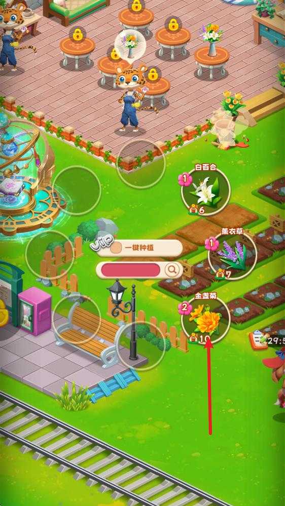 动物花店 动物花店