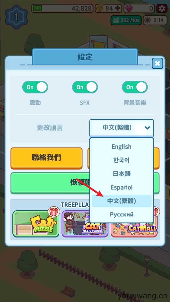 办公室猫咪 办公室猫咪