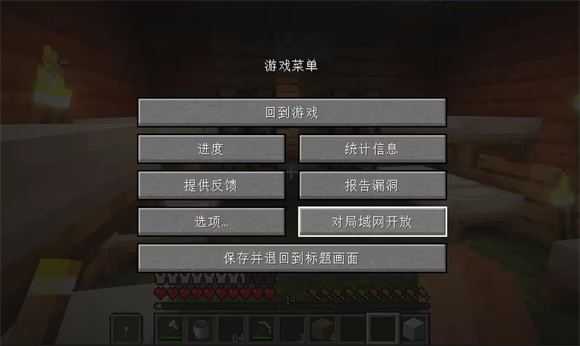 我的世界java版 我的世界java版