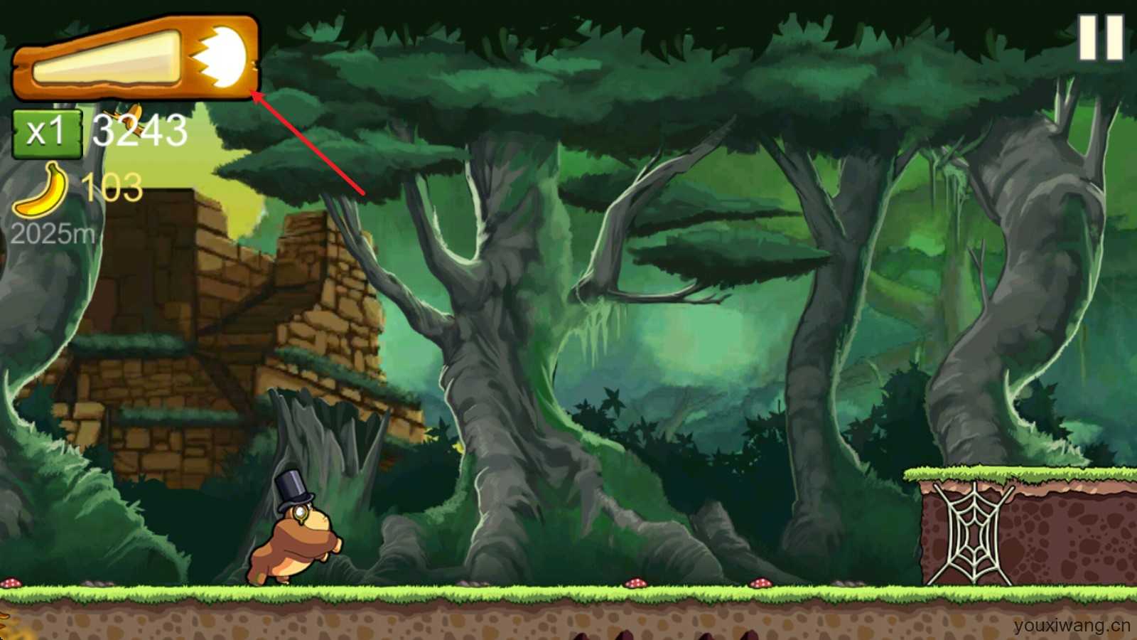 香蕉金刚 香蕉金刚