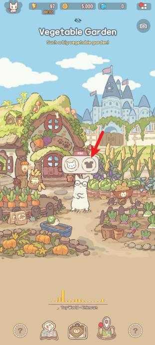 猫咪和汤魔法食谱