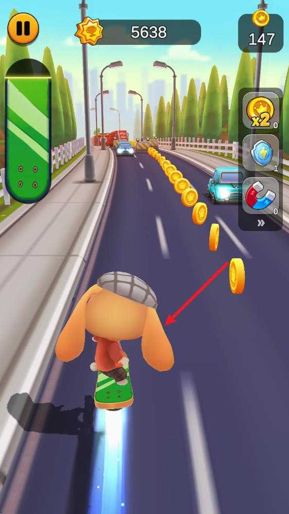 奔跑的宠物猫 奔跑的宠物猫