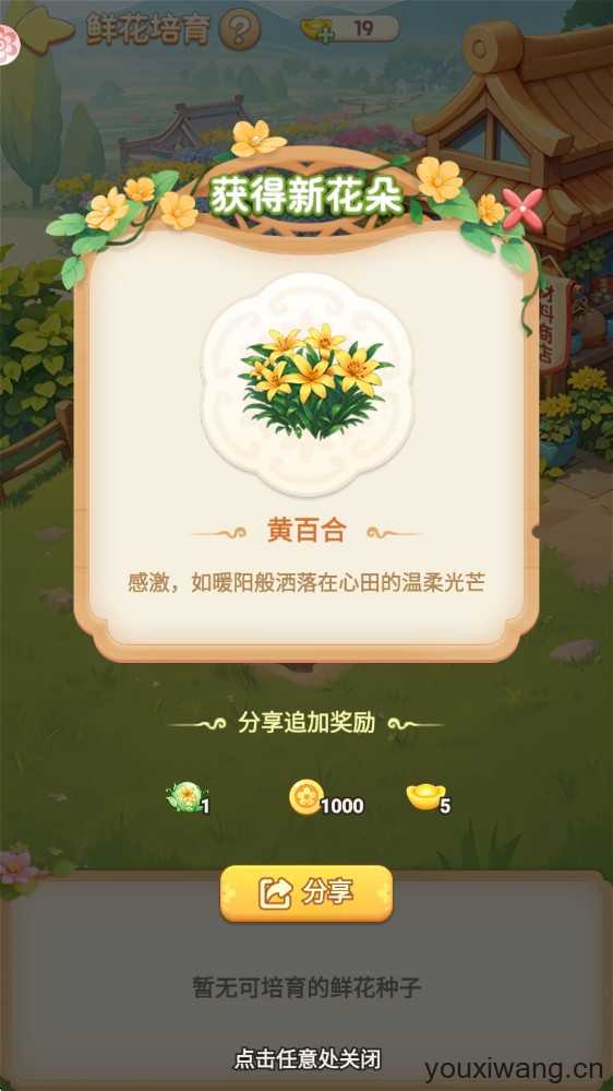 我的花园世界