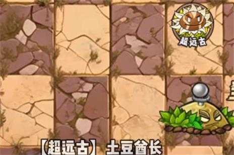 植物大战僵尸神奇植物版 植物大战僵尸神奇植物版