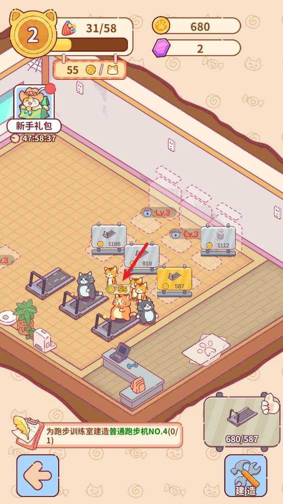 猫咪健身房 猫咪健身房