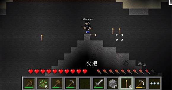 我的世界2D版 我的世界2D版