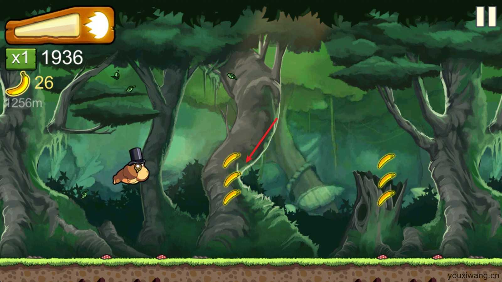 香蕉金刚 香蕉金刚