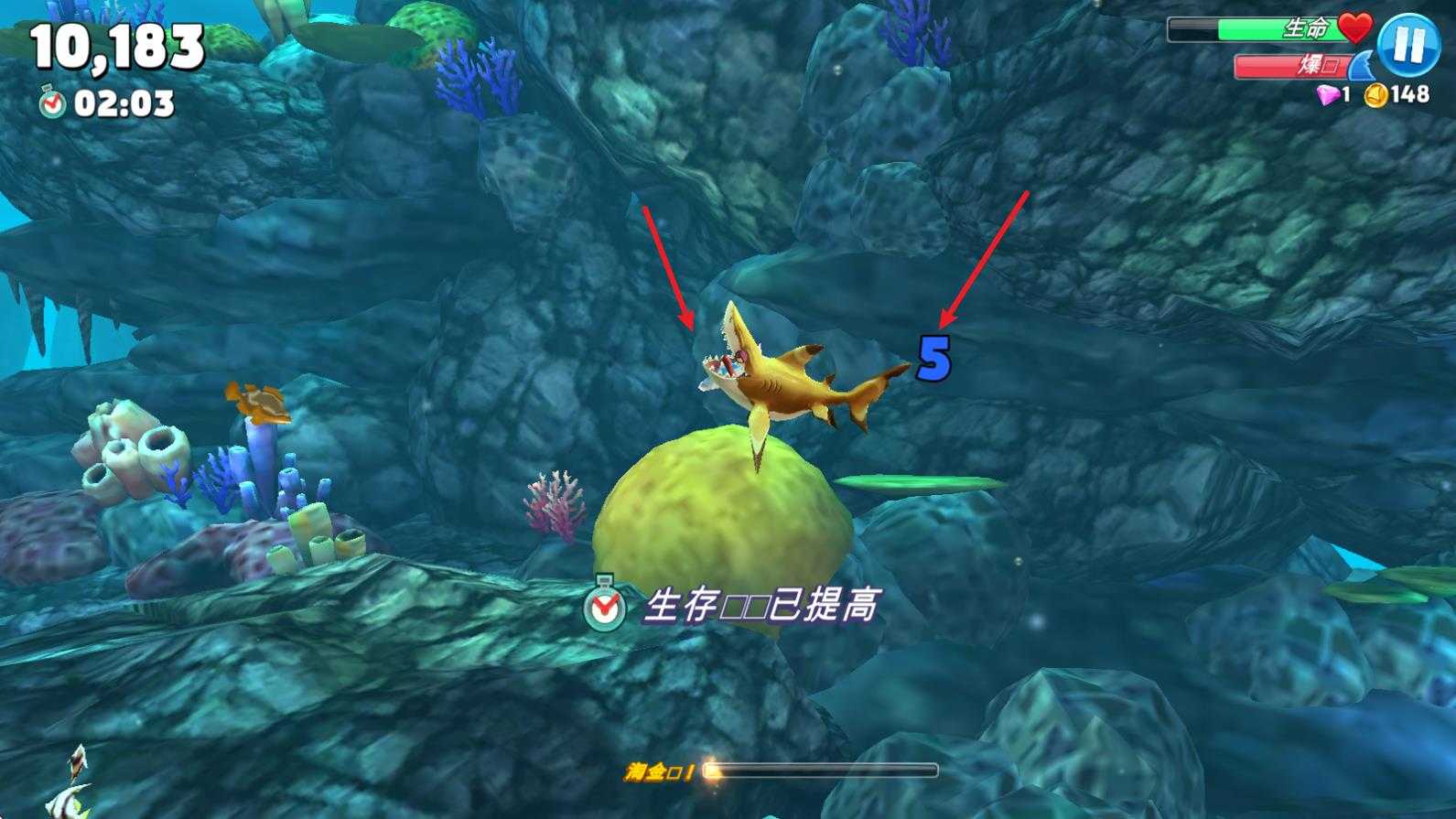 饥饿鲨世界国际服正版