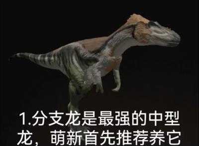 泰坦之路国际服 泰坦之路国际服