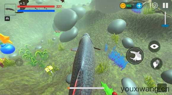 海底大猎杀 海底大猎杀