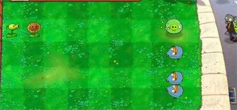 小鸟植物杂交版 小鸟植物杂交版