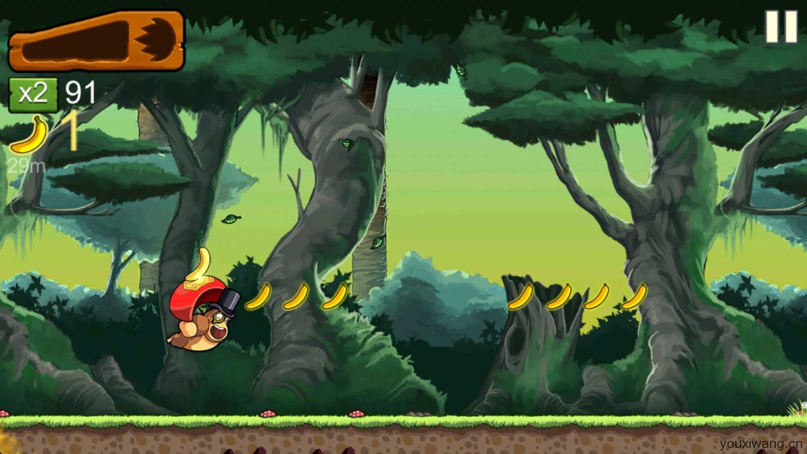 香蕉金刚 香蕉金刚