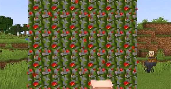 Minecraft国际版 Minecraft国际版