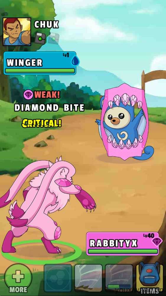 口袋妖怪的世界