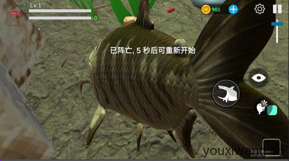 海底大猎杀 海底大猎杀