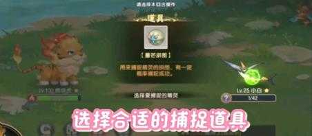 西普大陆 西普大陆