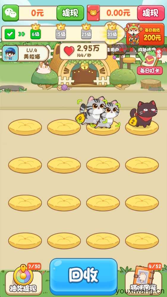 筑梦猫舍 筑梦猫舍