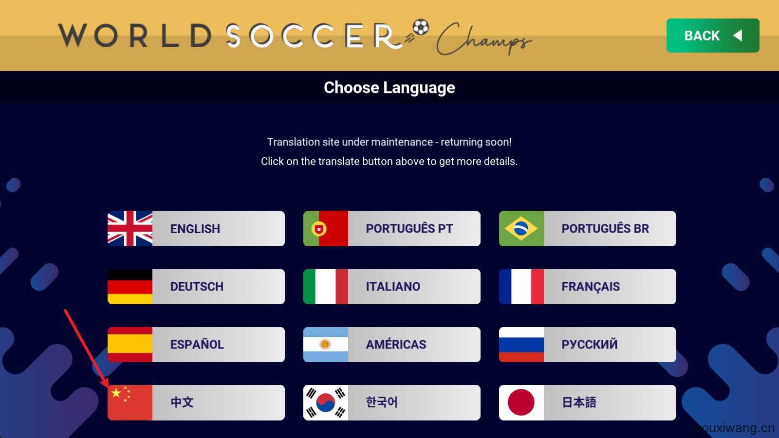 世界足球冠军 世界足球冠军