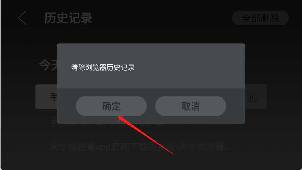 飞视浏览器 飞视浏览器