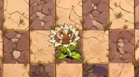 植物大战僵尸神奇植物版 植物大战僵尸神奇植物版