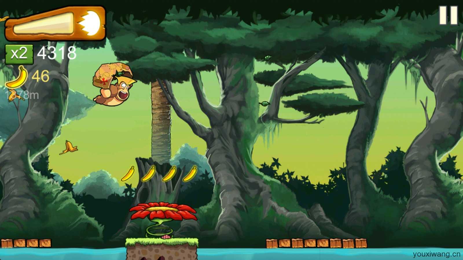 香蕉金刚 香蕉金刚