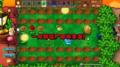 PVZ乱斗版 PVZ乱斗版