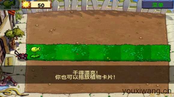 植物大战僵尸1经典版 植物大战僵尸1经典版