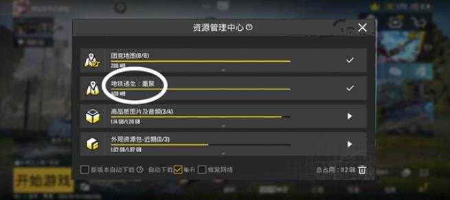 和平精英国际服 和平精英国际服