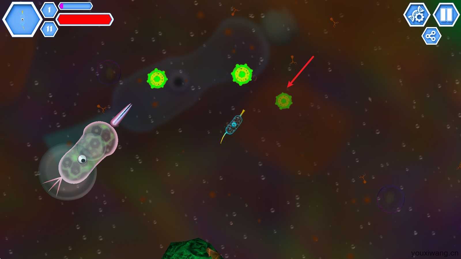 孢子进化论2 孢子进化论2