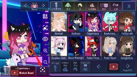 加查薰衣草 加查薰衣草