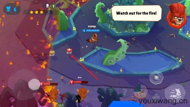 动物王者国际服