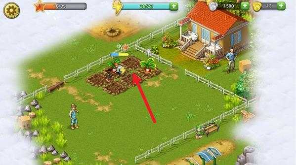 珍妮的农场最新版