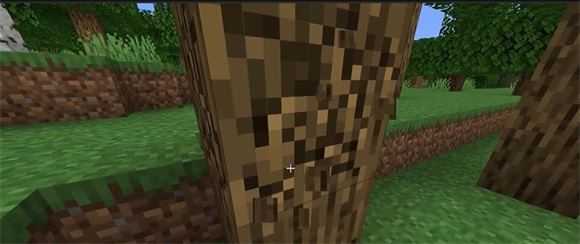 我的世界基岩版 我的世界基岩版